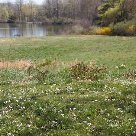 Private Lakeview Cottage And 2 Farmhouse Apartments Near Rt 80 Easy To Nyc Blairstown Exterior foto