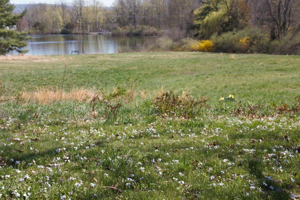 Private Lakeview And 2 Near Rt 80 Easy To Nyc